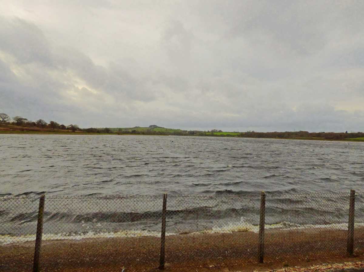 Bartley Reservoir